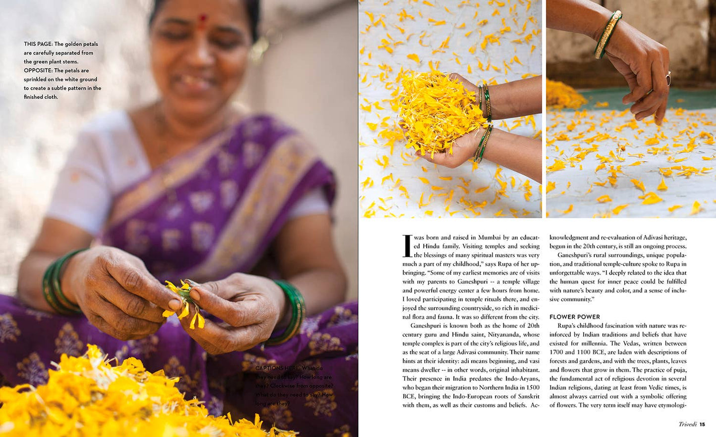 True Colors, 2nd Edition