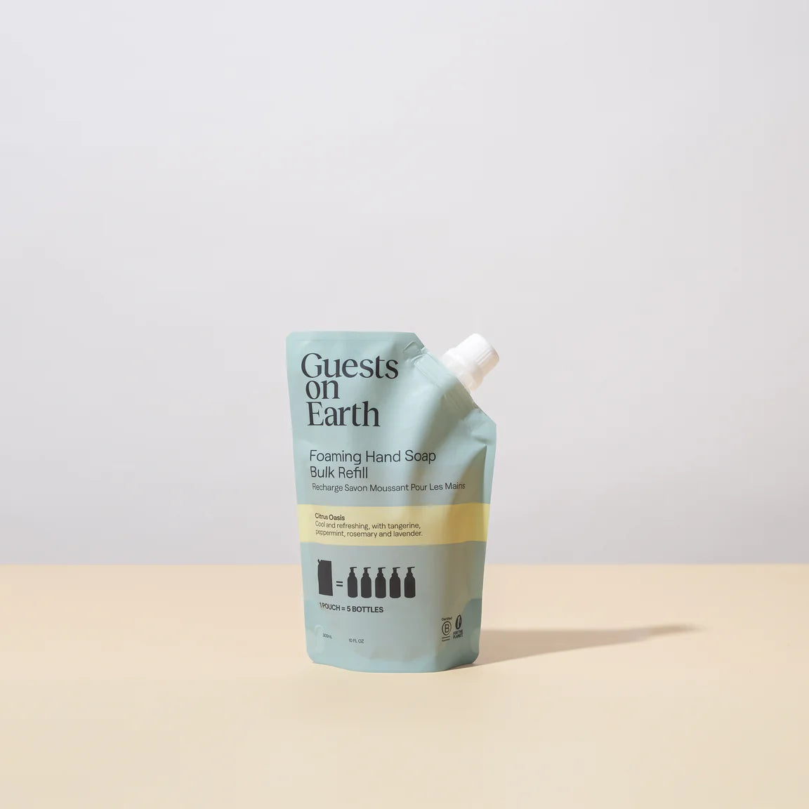 Foaming Hand Soap Refill