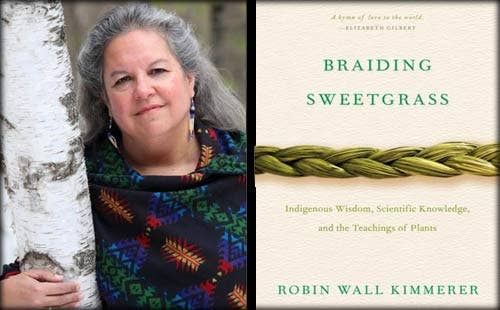 Braiding Sweetgrass Book. By Robin Wall Kimmerer. Soft Cover