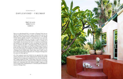 Resident Dog (Volume Two)