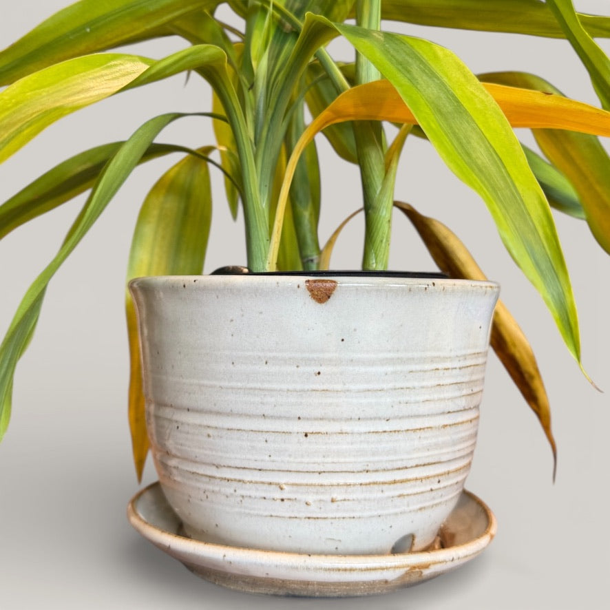 ap pottery planter with attached dish