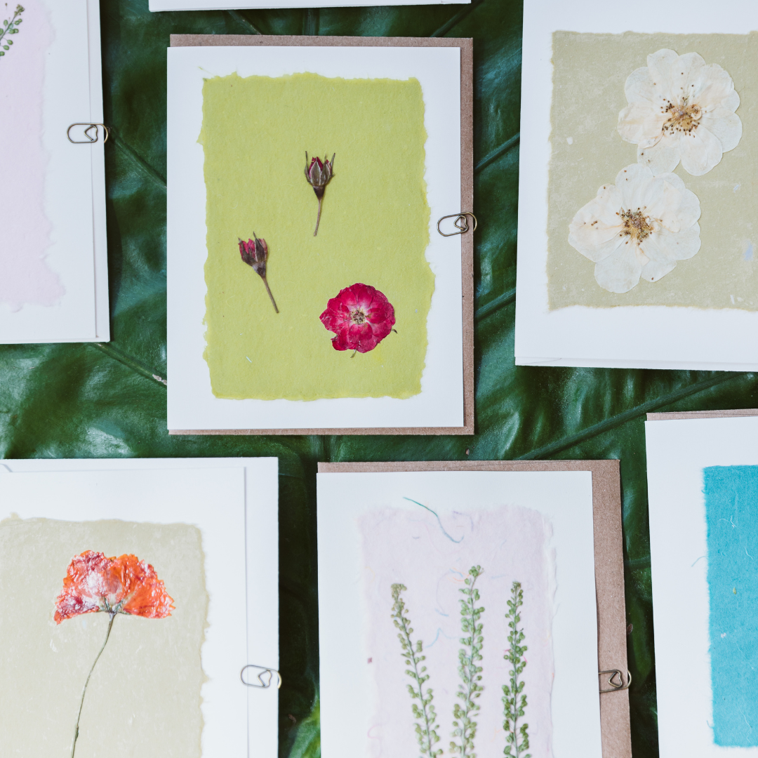 Pressed Flower Greeting Cards (Blank)