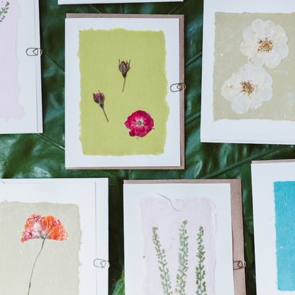 Pressed Flower Greeting Cards (Blank)