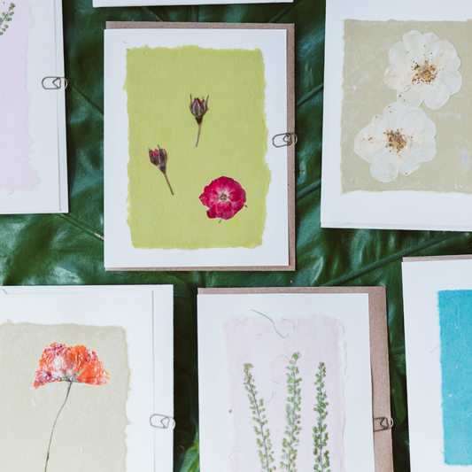 Pressed Flower Greeting Cards (Blank)