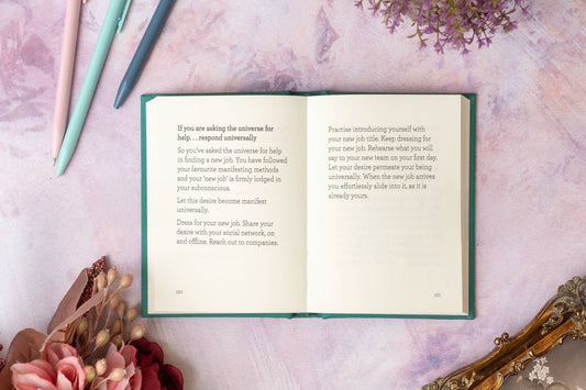 The Little Book of Manifesting