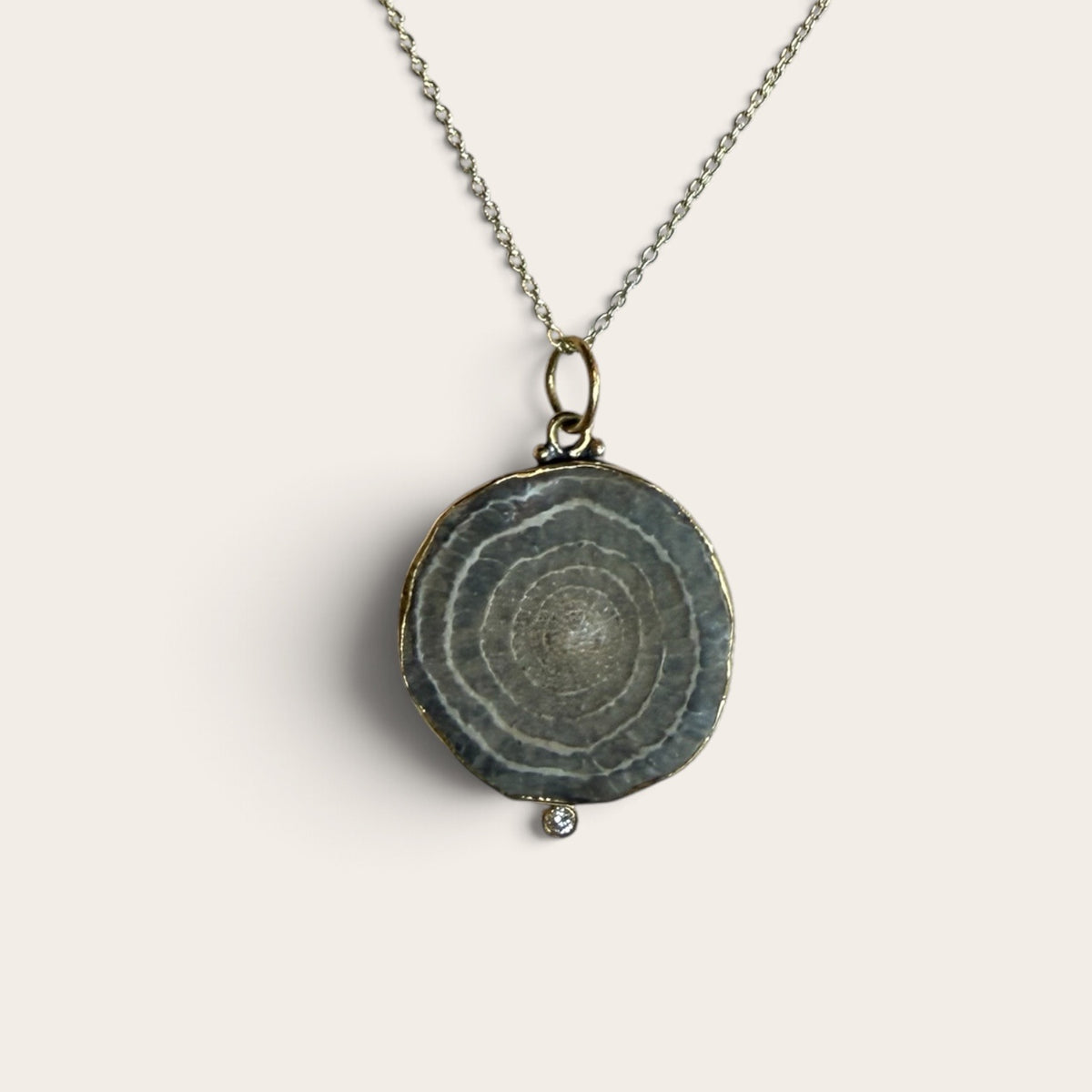 Fossil Charm