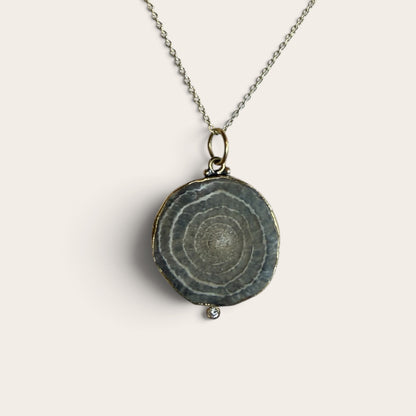 Fossil Charm