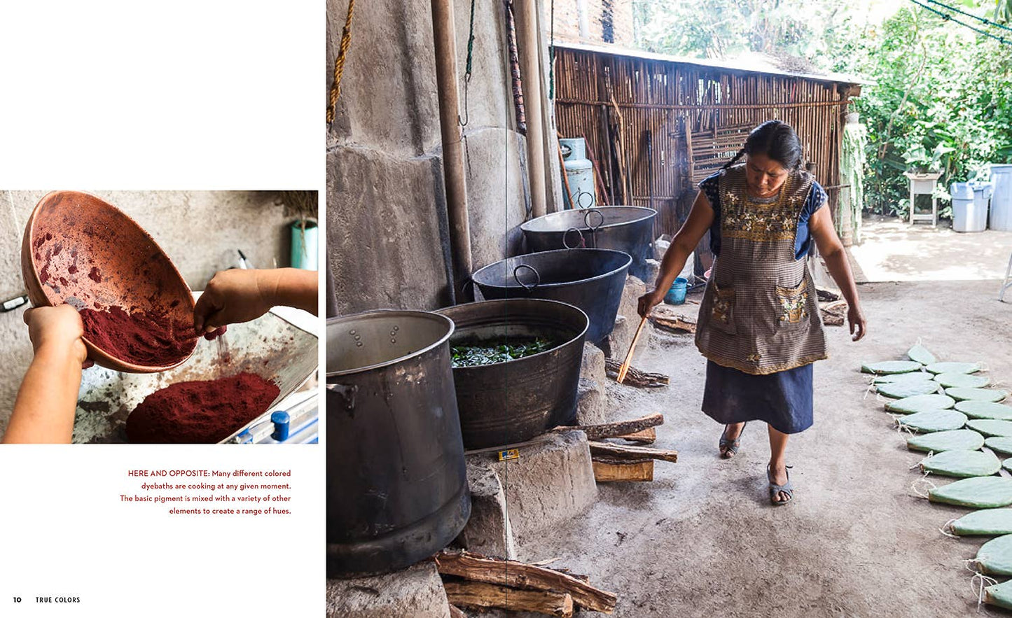 True Colors, 1st Edition