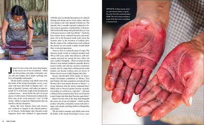 True Colors, 2nd Edition