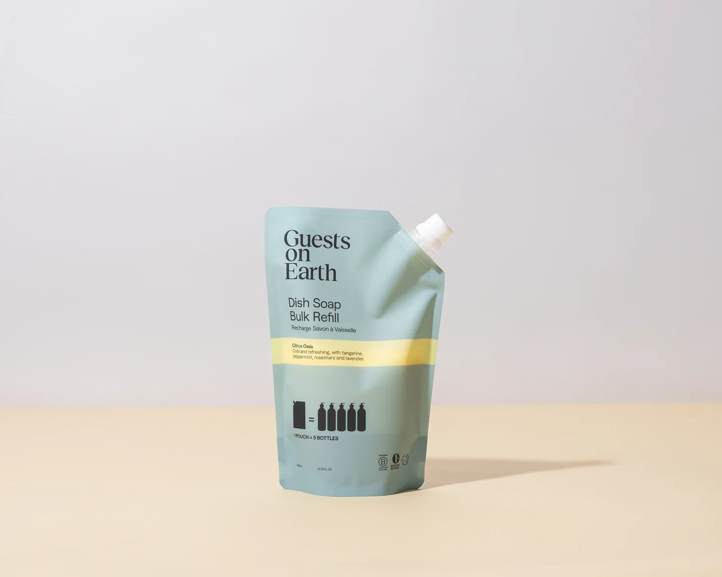 Dish Soap Refill